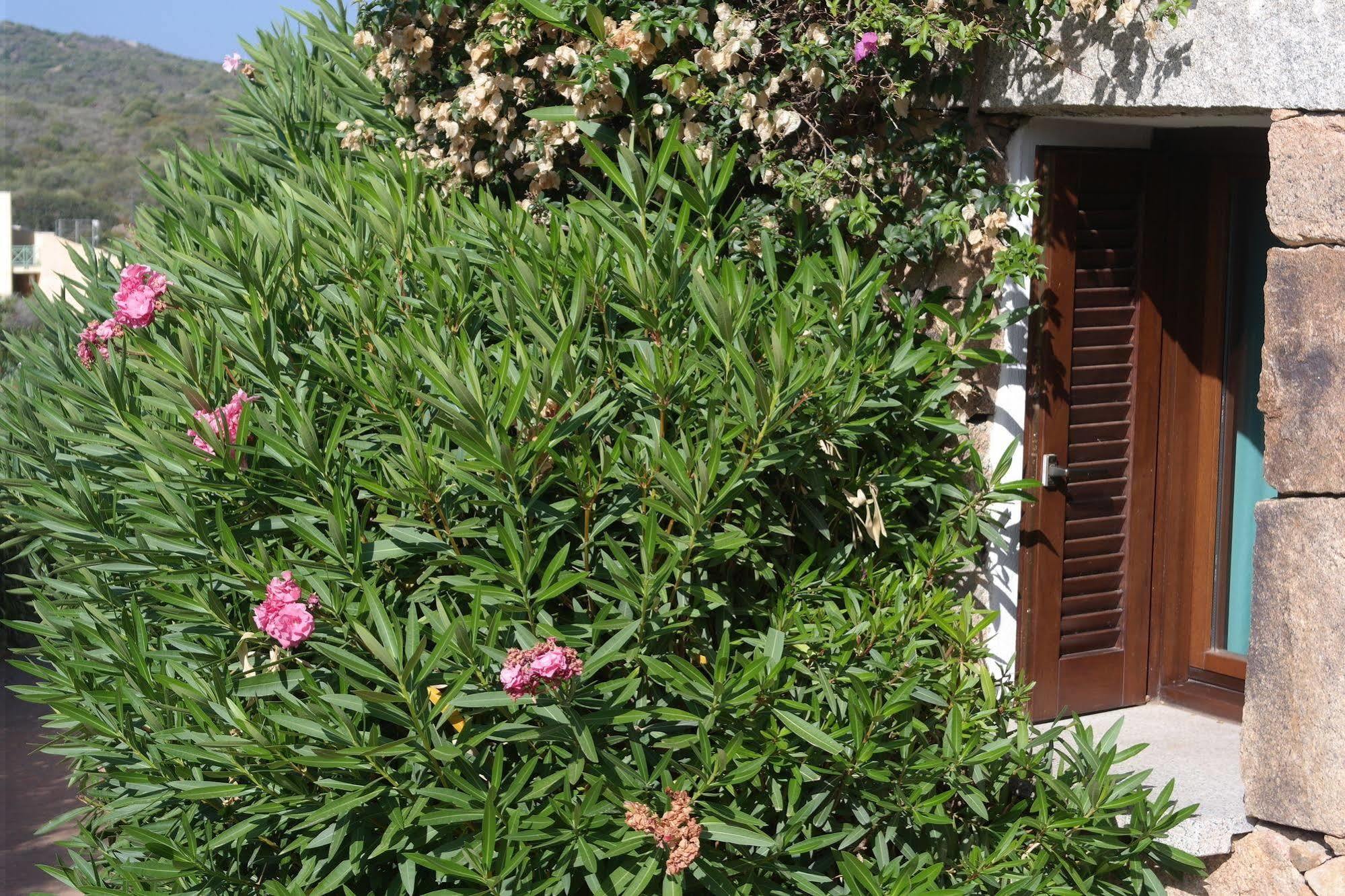 Sardinia Blu Residence Golfo Aranci Εξωτερικό φωτογραφία